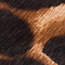 BRAUN/ SCHWARZ