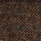 BRAUN