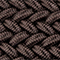 BRAUN