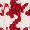 ROT/ CREME