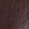 BRAUN