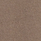 BRAUN