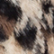 BEIGE/ SCHWARZ/ BRAUN
