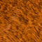 COGNAC