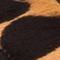COGNAC/ SCHWARZ
