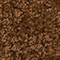 BRAUN