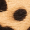 CAMEL/ SCHWARZ