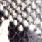 NATURAL/ SCHWARZ