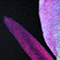 SCHWARZ/ GRÜN/ PINK
