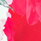 ROT/ ROSA/ GRÜN