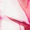 PINK/ WEISS/ GRAU