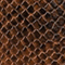 BRAUN/ SCHWARZ