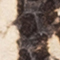 BEIGE/ SCHWARZ