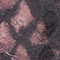 ROSA/ SCHWARZ