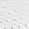 WEISS/ MINT/ ORANGE