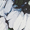 SCHWARZ/ WEISS/ GRÜN