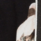 SCHWARZ/ CREME