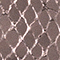 ROSA METALLIC