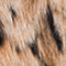 SCHWARZ/ BEIGE/ CREME