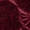 DUNKELROT