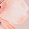 NUDE/ LILA/ ROT