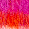 ROT/ LILA