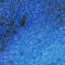 BLAU/ TÜRKIS