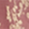 ALTROSA/ BEIGE