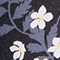 SCHWARZ/ WEISS/ BLAUGRAU