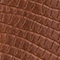 BRAUN