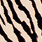 CAMEL/ BRAUN/ SCHWARZ