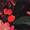 SCHWARZ/ ROSA/ DUNKELGRÜN