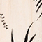 ECRU/ SCHWARZ