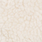 ECRU