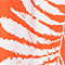 DUNKELORANGE/ WEISS
