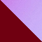 NEONPINK/ LILA