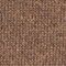 BRAUN