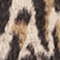 SCHWARZ/ CAMEL