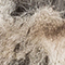 BEIGE/ WEISS/ GRAU