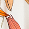 CREME/ ROT/ ORANGE