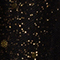 SCHWARZ/ GOLD