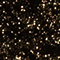 SCHWARZ/ GOLD