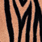 CAMEL/ SCHWARZ