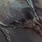SCHWARZ/ GRÜN