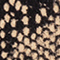 SCHWARZ/ CREME