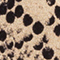 SCHWARZ/ CREME