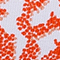 ROT/ ORANGE/ WEISS