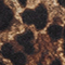 SCHWARZ/ BRAUN