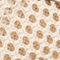 ROSE/ BEIGE/ GELB