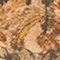 BEIGE/ GRÜN